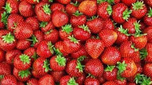 fraises petites