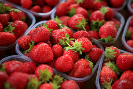 ravier fraises